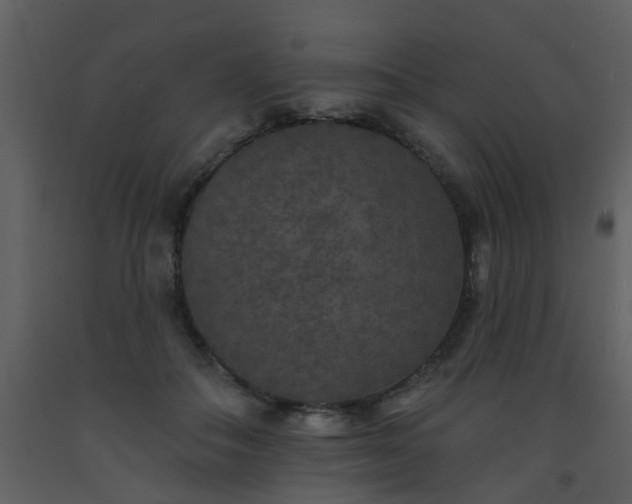 X0000093580506200710221506