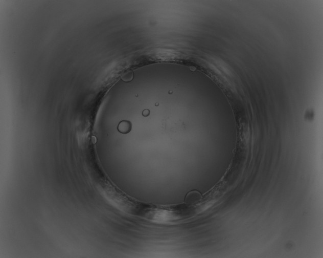 X0000093580507200710221506