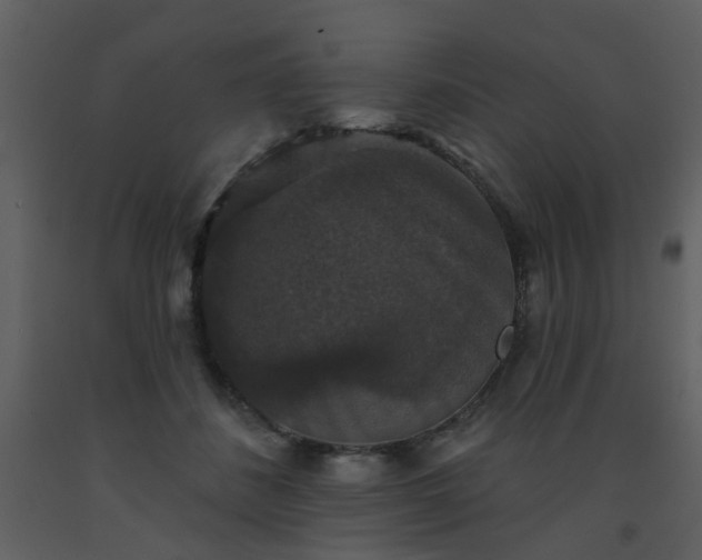 X0000093580508200710221506