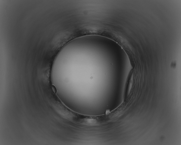 X0000093580509200710221506