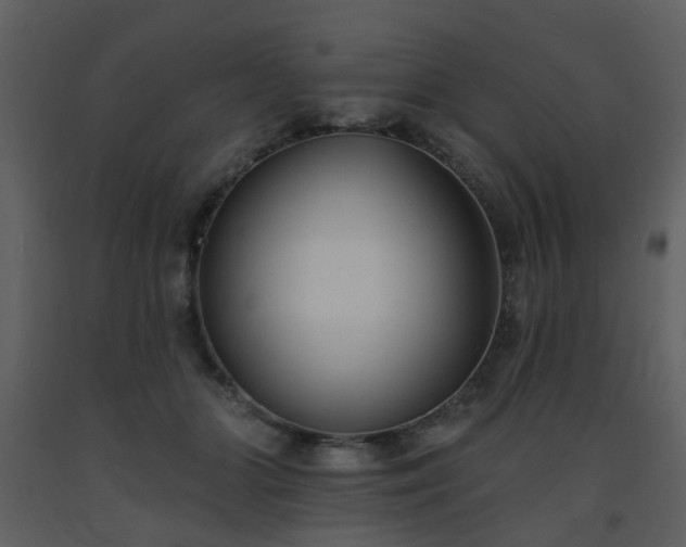 X0000093580510200710221506