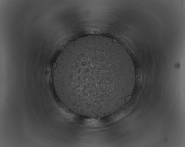 X0000093580511200710221506