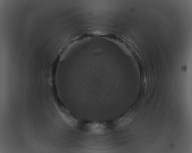 X0000093580512200710221506