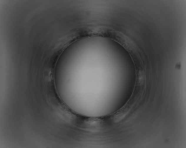 X0000093580514200710221506