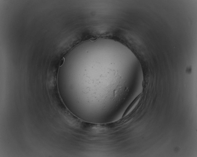 X0000093580515200710221506