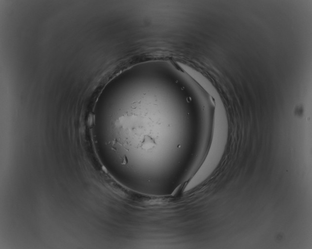 X0000093580516200710221506