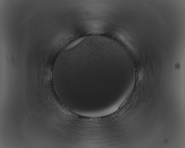 X0000093580517200710221506