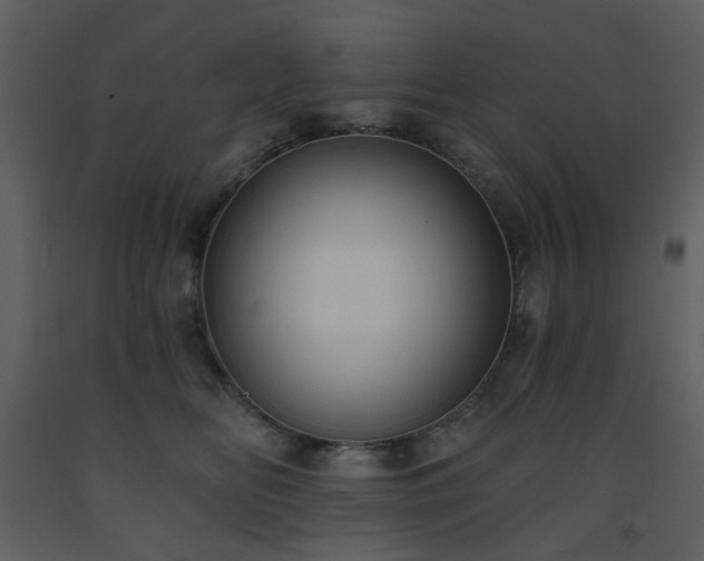 X0000093580518200710221506