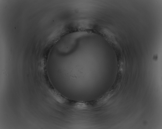 X0000093580519200710221506