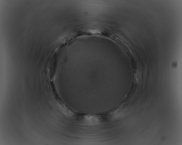 X0000093580520200710221506