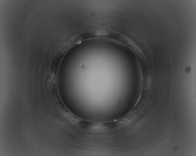 X0000093580521200710221506