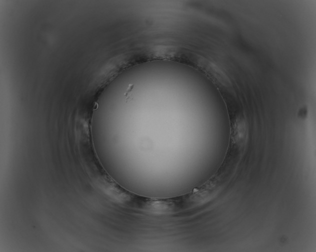 X0000093580522200710221506