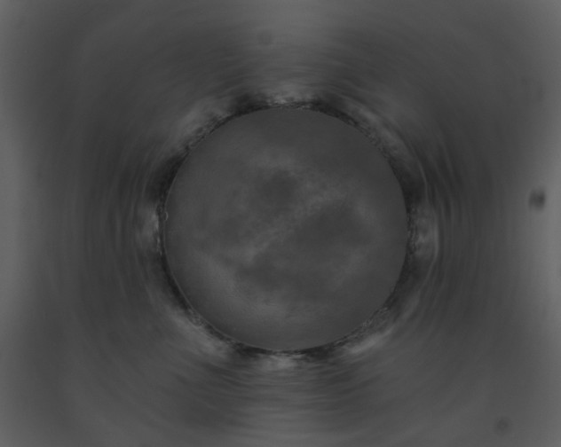 X0000093580523200710221506