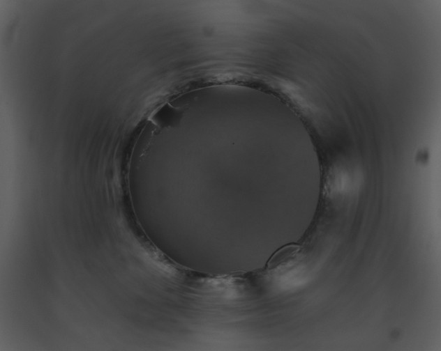 X0000093580524200710221506