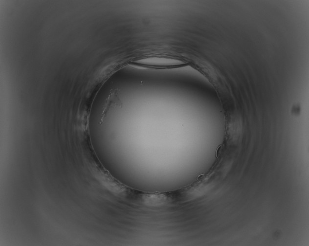 X0000093580525200710221506