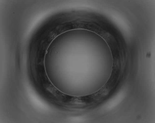 X0000093580526200710221506