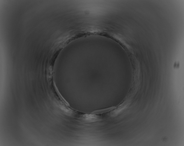 X0000093580528200710221506