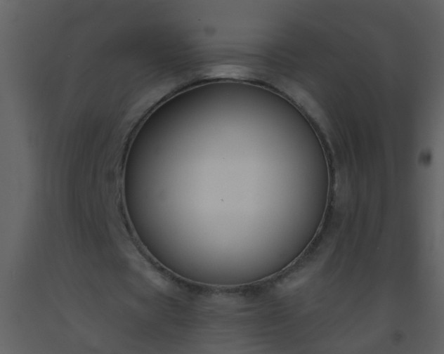 X0000093580529200710221505