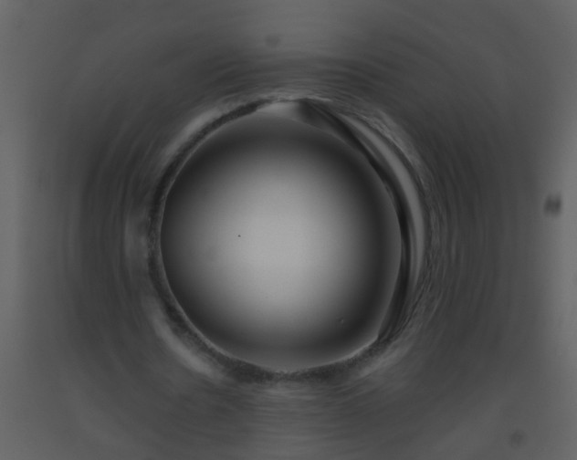 X0000093580530200710221505