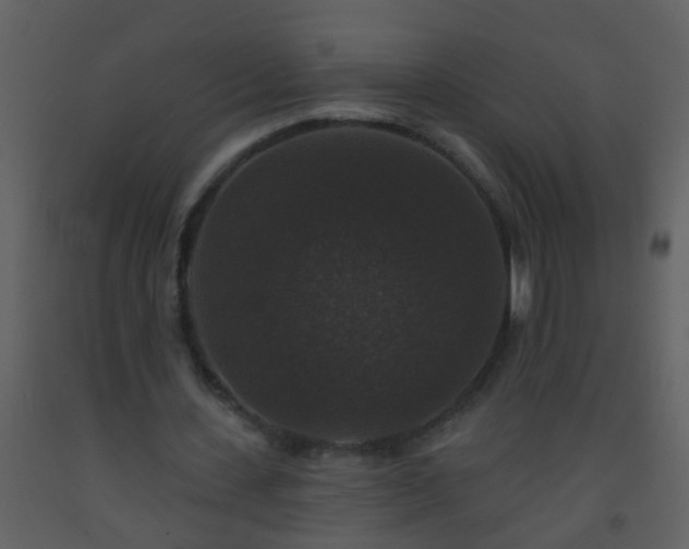 X0000093580531200710221505