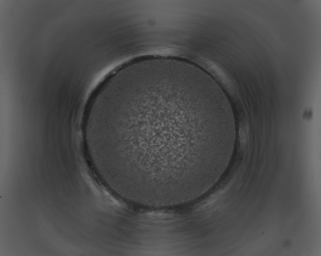 X0000093580532200710221505