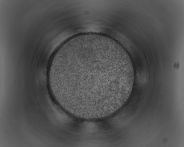 X0000093580534200710221505