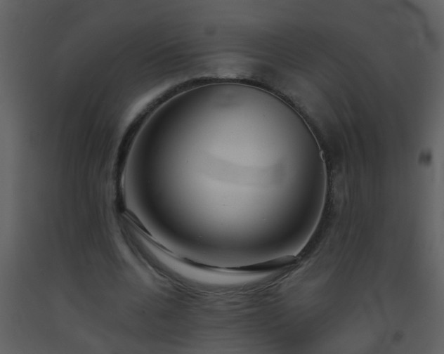 X0000093580536200710221505