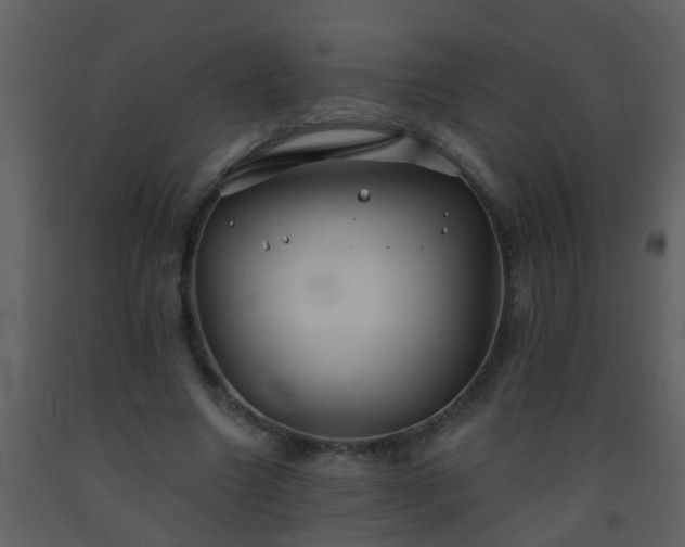 X0000093580538200710221505