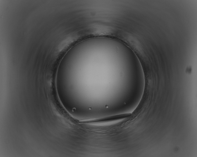 X0000093580539200710221505