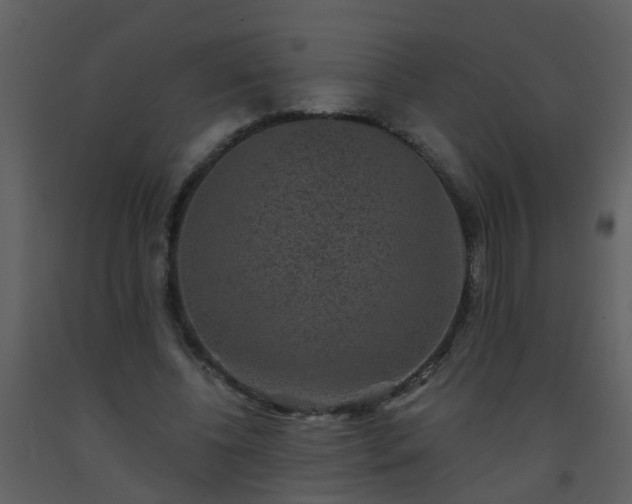 X0000093580540200710221505
