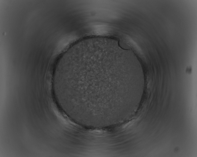 X0000093580542200710221505