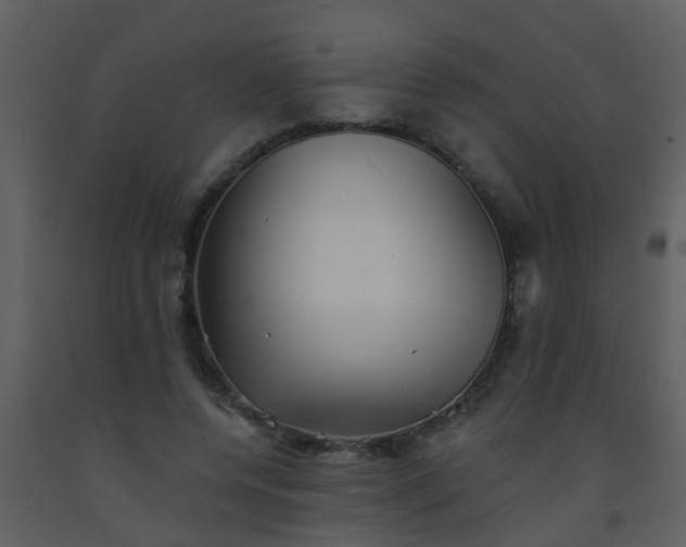 X0000093580544200710221505