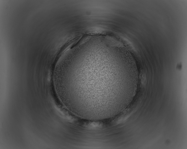 X0000093580546200710221505