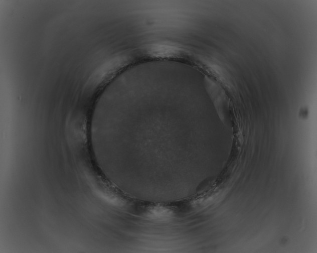 X0000093580547200710221505
