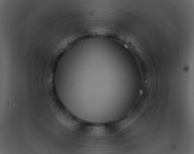 X0000093580548200710221505