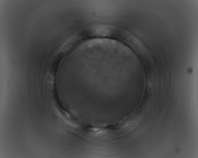 X0000093580551200710221505