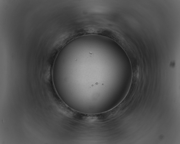 X0000093580554200710221505