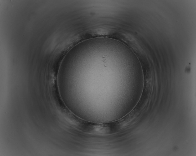 X0000093580555200710221505