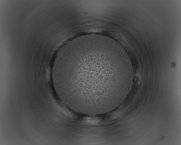 X0000093580556200710221505