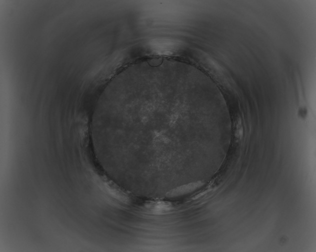 X0000093580559200710221505