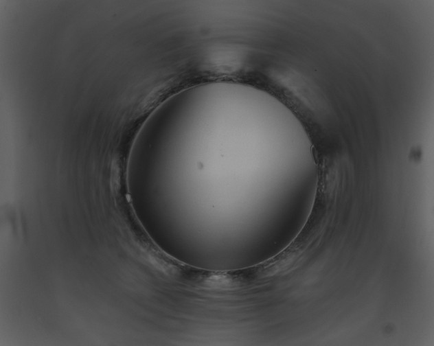 X0000093580562200710221506