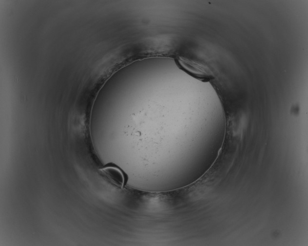 X0000093580564200710221506