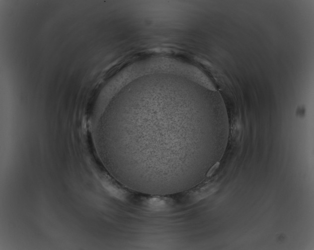 X0000093580566200710221506