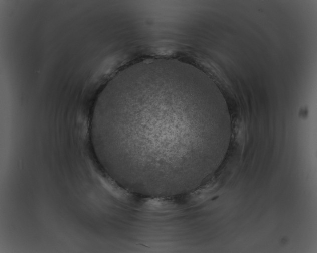 X0000093580568200710221506