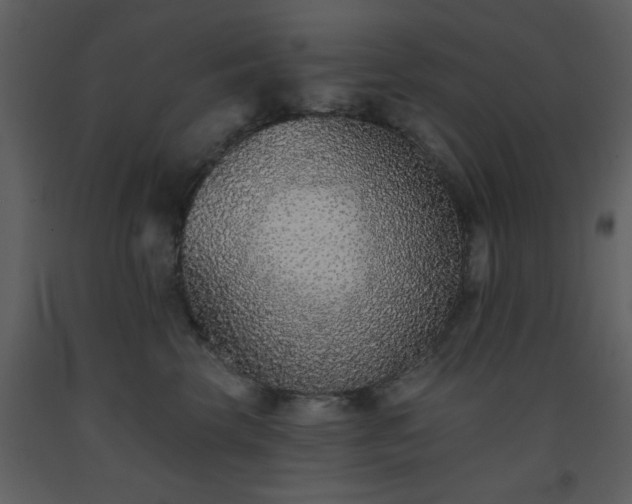 X0000093580569200710221506