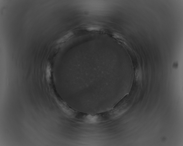 X0000093580570200710221506
