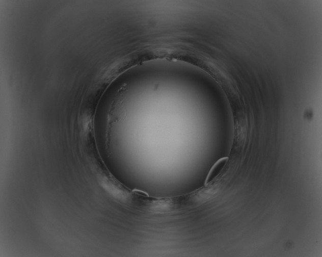 X0000093580574200710221506