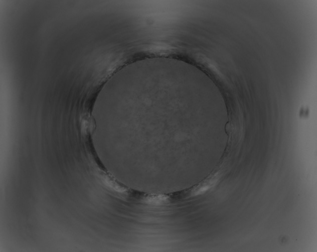 X0000093580576200710221506