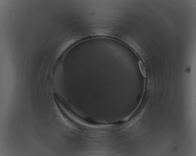 X0000093580577200710221505