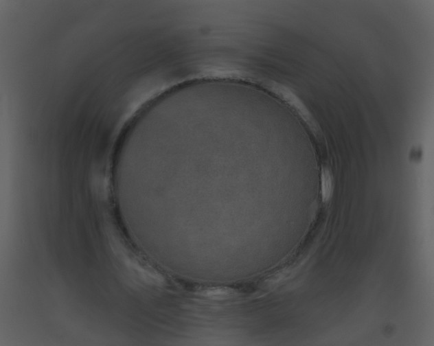 X0000093580579200710221505